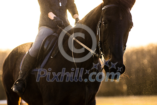 Female horse rider riding outdoors on her lovely horse Female horse rider riding outdoors on her lovely horse