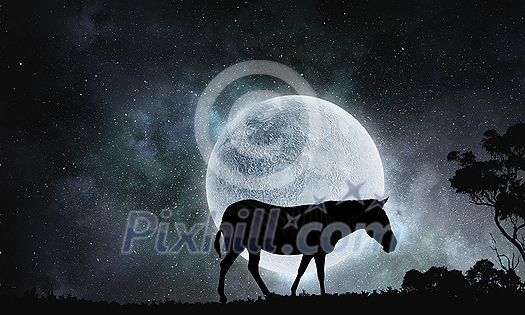 Zebra animal against dak full moon background Zebra animal against dak full moon background