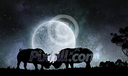 Two rhinos fightning and night landscape at background