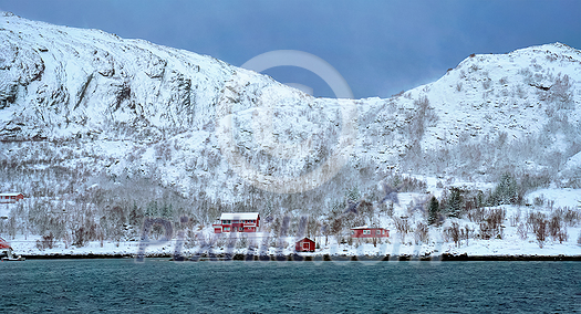 Panorama of traditional red rorbu houses on fjord shore in snow in winter. Lofoten islands, Norway