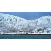 Panorama of traditional red rorbu houses on fjord shore in snow in winter. Lofoten islands, Norway