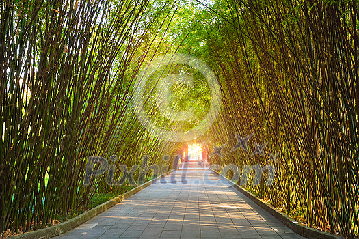 Path in bamboo forest brove in Wangjiang Pavilion (Wangjiang Tower) Wangjianglou Park. Chengdu, Sichuan, China Path in bamboo forest brove in Wangjiang Pavilion (Wangjiang Tower) Wangjianglou Park. Chengdu, Sichuan, China