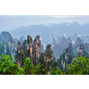 Famous tourist attraction of China - Zhangjiajie stone pillars cliff mountains in fog clouds at Wulingyuan, Hunan, China