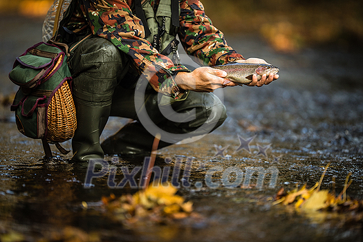 Close-up view of the hands of a fly fisherman holding a lovely trout while fly fishing on a splendid mountain river Close-up view of the hands of a fly fisherman holding a lovely trout while fly fishing on a splendid mountain river