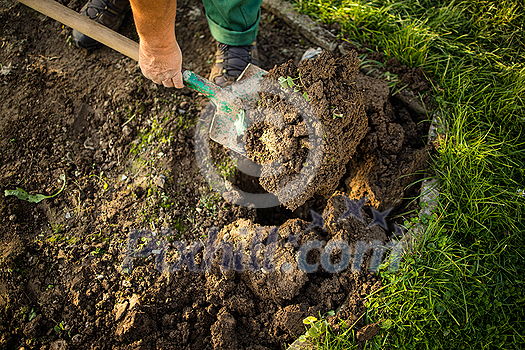 Senior gardener gardening in his permaculture garden - holding a spade Senior gardener gardening in his permaculture garden - holding a spade