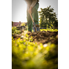 Senior gardener gardening in his permaculture garden - using a spade