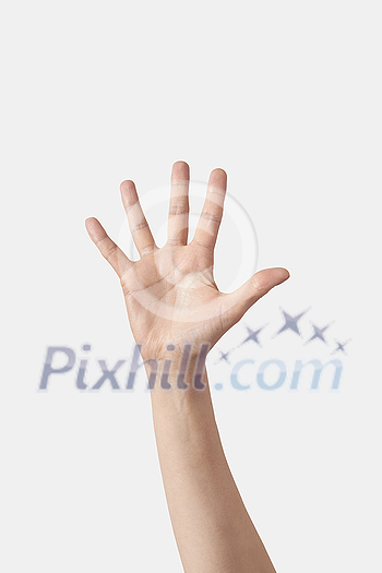 Inner palm count on fingers, male hand in vertical position with 5, five, fifth finger sticking out isolated on white background. Counting one to five fingers concept. Inner palm count on fingers, male hand in vertical position with 5, five, fifth finger sticking out isolated on white background. Counting one to five fingers concept.