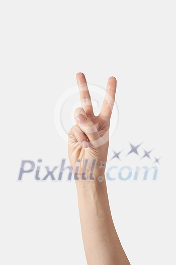 Inner palm count on fingers, female hand in vertical position with 5, five, fifth with 2 fingers sticking out isolated on white background. V letter finger alphabet. One to five fingers concept. Inner palm count on fingers, female hand in vertical position with 5, five, fifth with 2 fingers sticking out isolated on white background. V letter finger alphabet. One to five fingers concept.