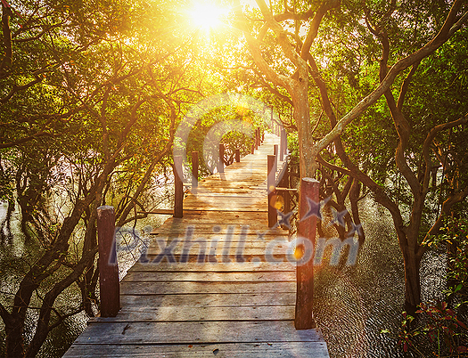 Tropical exotic travel concept - wooden bridge in flooded rain forest jungle of mangrove trees near Kampong Phluk village, Cambodia. With lens flare Tropical exotic travel concept - wooden bridge in flooded rain forest jungle of mangrove trees near Kampong Phluk village, Cambodia. With lens flare