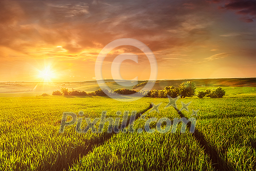Beuatiful sunset in fields of Moravia, Czech Republic. With light leak and lens flare Beuatiful sunset in fields of Moravia, Czech Republic. With light leak and lens flare