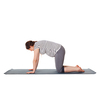 Pregnancy yoga exercise - pregnant woman doing asana Marjaryasana cat pose isolated on white background