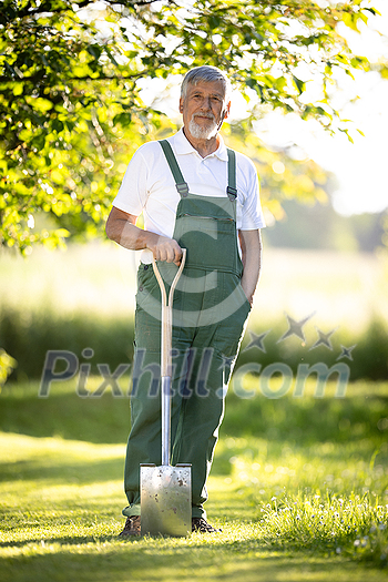 Senior gardener gardening in his permaculture garden - holding a spade Senior gardener gardening in his permaculture garden - holding a spade