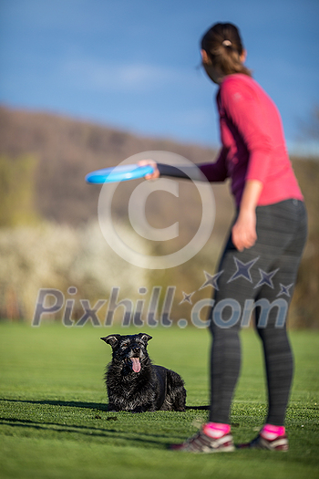 Young woman throwing freisbee to her black dog outdoors (shallow DOF, sharp focus Young woman throwing freisbee to her black dog outdoors (shallow DOF, sharp focus