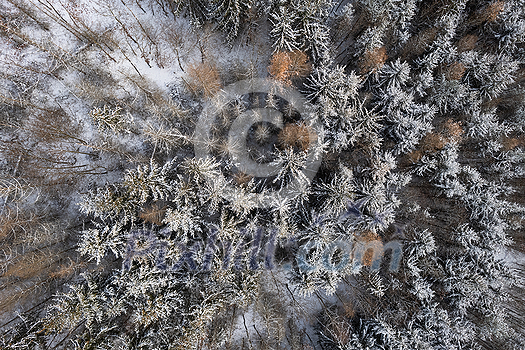 Aerial image of a winter landscape, winter forest trees covered with frost and snow (color toned image) Aerial image of a winter landscape, winter forest trees covered with frost and snow (color toned image)
