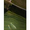 Farmland from above - aerial image of a lush green field being irrigated