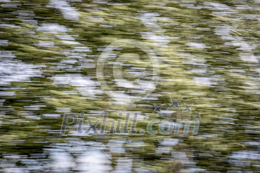Speed of movement being visible on trees passing by. Motion blurred imgae of trees seen from a fast moving train.