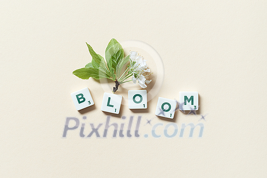 Bloom word formed of scrabble blocks with spring blossom on beige background. Bloom word formed of scrabble blocks with spring blossom on beige background.