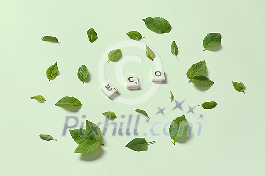 Eco word formed of scrabble tiles with tree leaves scattered on light green background. Nature and renewable energy concept. Eco word formed of scrabble tiles with tree leaves scattered on light green background. Nature and renewable energy concept.