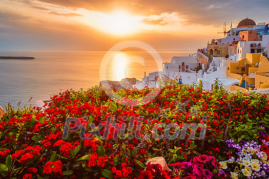 Scenic sunset over sea and picturesque Oia town on Santorini island in summer with red flowers on foreground Scenic sunset over sea and picturesque Oia town on Santorini island in summer with red flowers on foreground