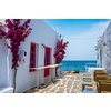 Picturesque narrow street with traditional whitewashed houses with blooming flowers of Naousa town in famous tourist attraction Paros island, Greece