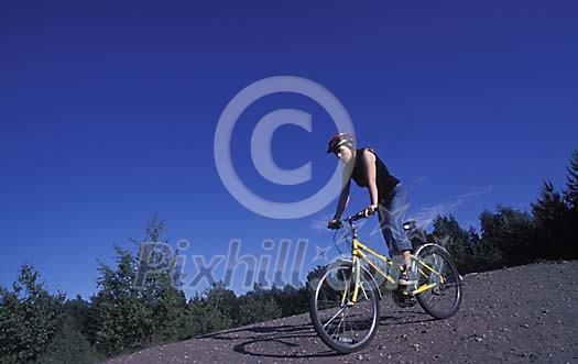 Online Leisure Stock Subscription Online Leisure Stock Subscription