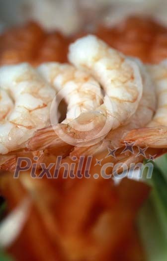 Food Stock Photo Subscription Food Stock Photo Subscription