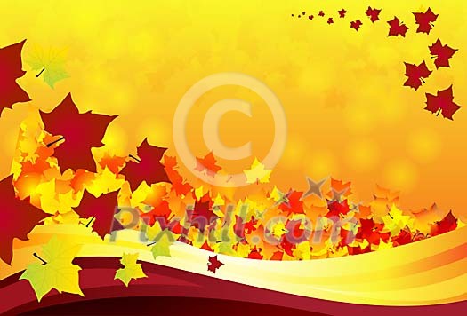 Autumn vector background Autumn vector background