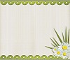 Vector background frame with summery daisies
