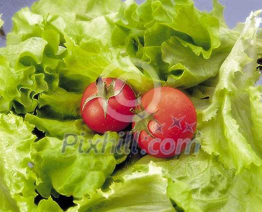 Food Stock Photo Subscription