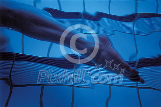 Online Leisure Stock Subscription Online Leisure Stock Subscription