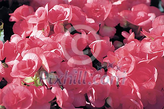 Background Stock Photos Subscription Background Stock Photos Subscription