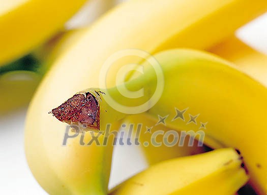 Food Stock Photo Subscription Food Stock Photo Subscription