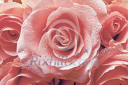 Background Stock Photos Subscription Background Stock Photos Subscription