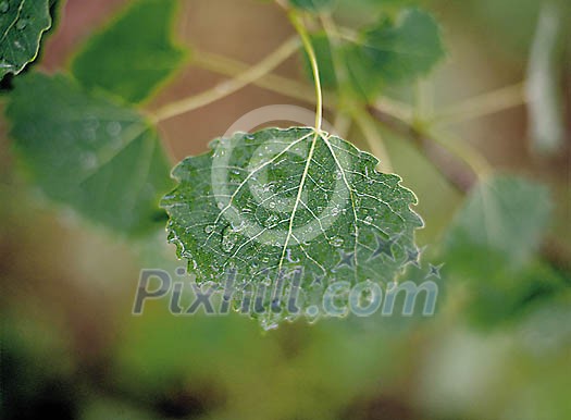 Background Stock Photos Subscription Background Stock Photos Subscription