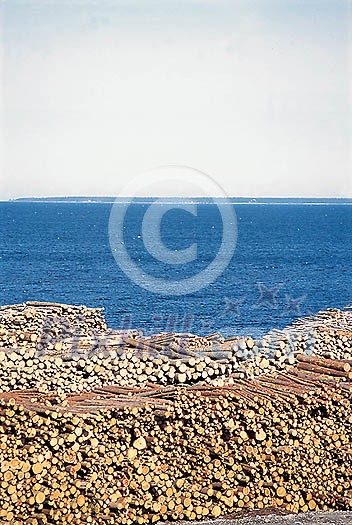 Business & Work Stock Photo Subscription Business & Work Stock Photo Subscription