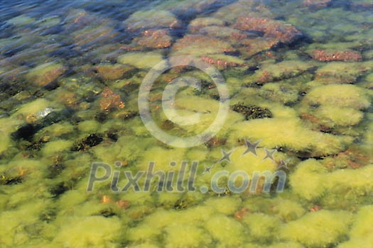 Background Stock Photos Subscription Background Stock Photos Subscription