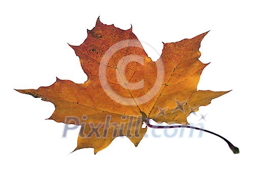 Download Clipped Stock Photos Download Clipped Stock Photos