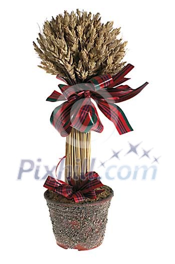 Download Christmas Stock Photos with Clipping-path Download Christmas Stock Photos with Clipping-path