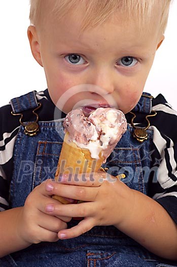 Food Stock Photo Subscription Food Stock Photo Subscription