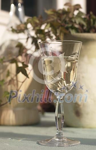 Food Stock Photo Subscription Food Stock Photo Subscription