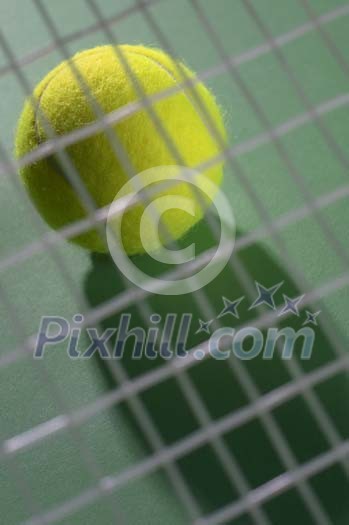 Online Leisure Stock Subscription Online Leisure Stock Subscription