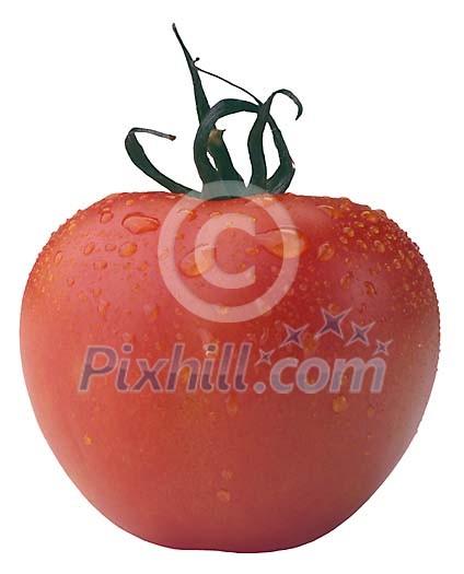 Download Clipped Stock Photos Download Clipped Stock Photos