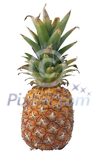 Food Stock Photo Subscription Food Stock Photo Subscription