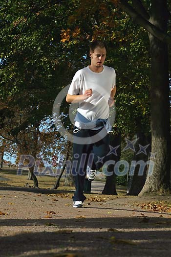 Online Leisure Stock Subscription Online Leisure Stock Subscription