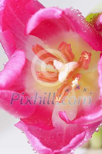 Background Stock Photos Subscription Background Stock Photos Subscription