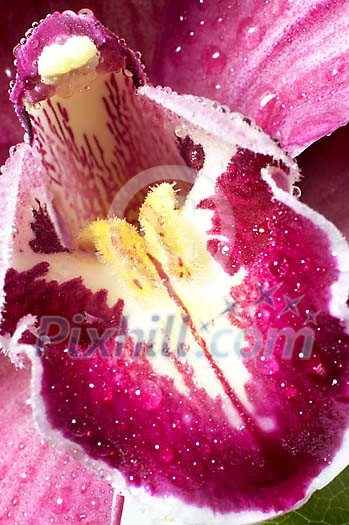 Background Stock Photos Subscription Background Stock Photos Subscription