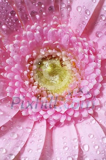 Background Stock Photos Subscription Background Stock Photos Subscription