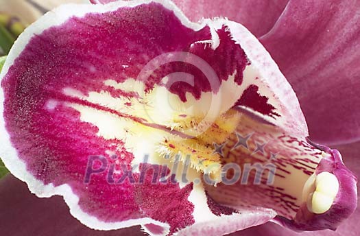 Background Stock Photos Subscription Background Stock Photos Subscription