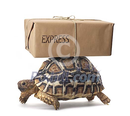 Download Clipped Stock Photos Download Clipped Stock Photos
