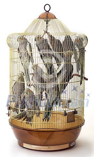 Download Clipped Stock Photos Download Clipped Stock Photos